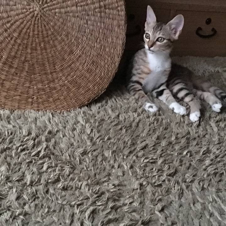 Ae6e1f67 6f7b 4afb 99e8 0ffbd96bc9ce