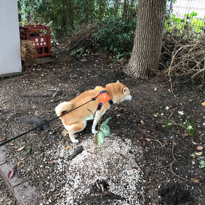 Ae6e4093 1e5d 4b86 a42a b40718385a0c