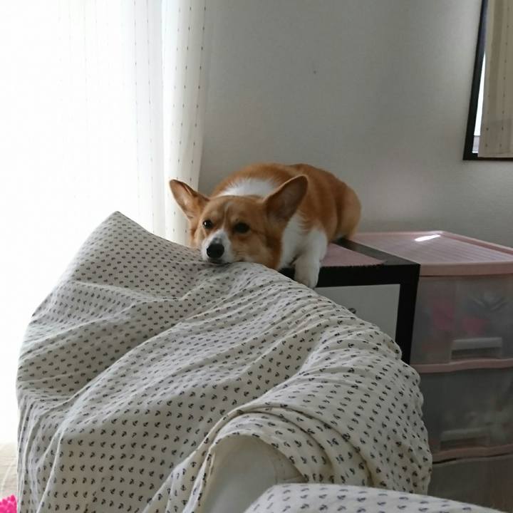 Ae6e57a4 9123 45d3 820f 159d5a096797