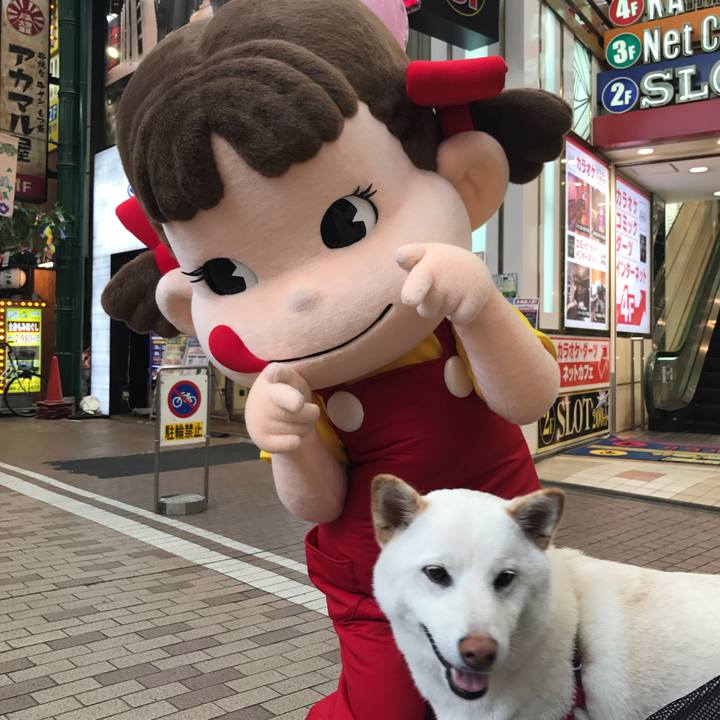 Ae6e6149 5628 49ac 8909 4533dd3b9abc