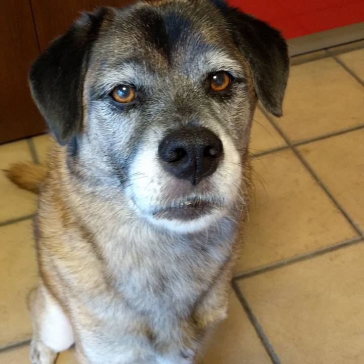 Ae6e96d4 9d8f 4f05 8c9e e9e3056cdba6