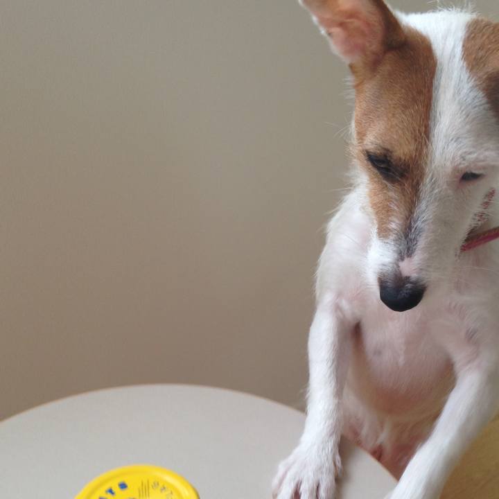 Ae6eec23 aa5b 4111 8cc2 fc7b2e382829