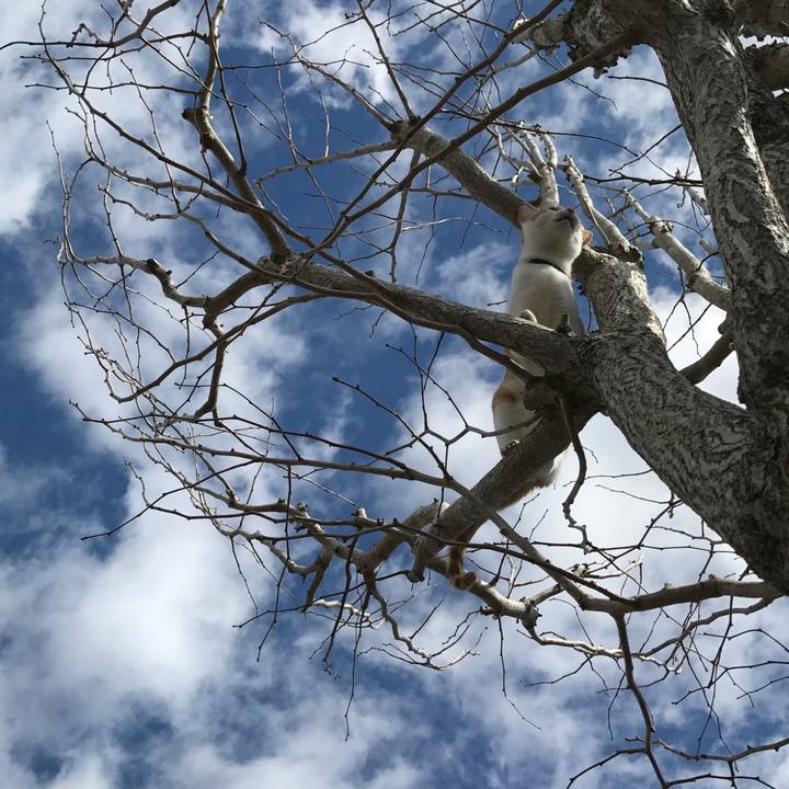 Ae6eeeeb 4600 43d4 8684 3655a44af771