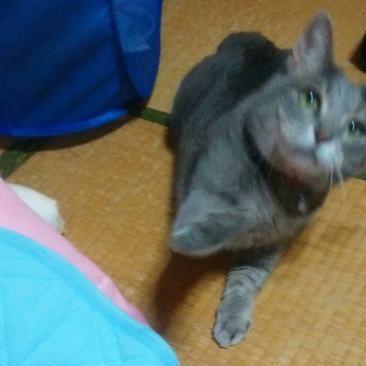 Ae6f6697 b6a5 4d87 9e8e 9a2e308dc1ad