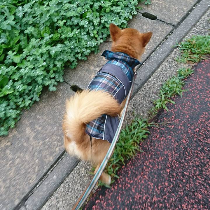 Ae6f9135 b7da 4a27 bd45 c56c3d56d023