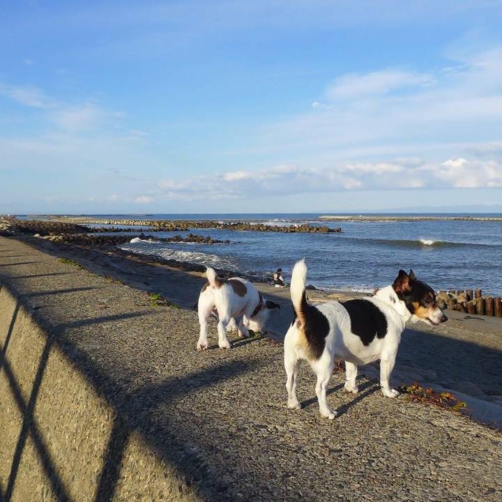 Ae7013d8 a3ac 4493 9b0c 049d4cec707d