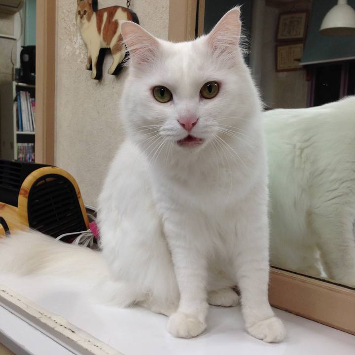 Ae70148f 2893 4b3b b96a e519a13c9329