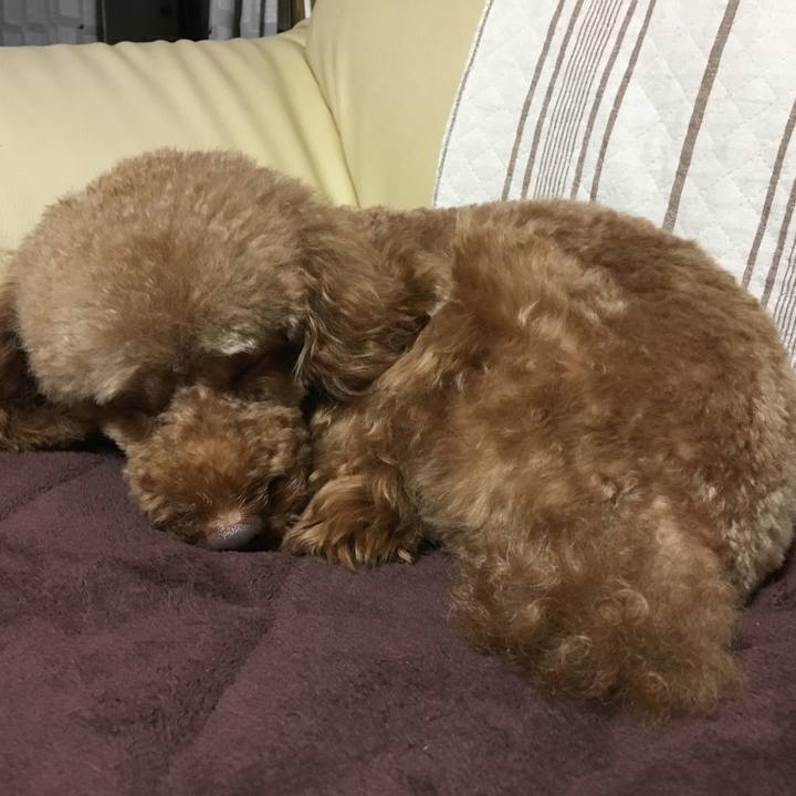 Ae7092bc b01f 4bc0 90b6 b2f2c655f4e1