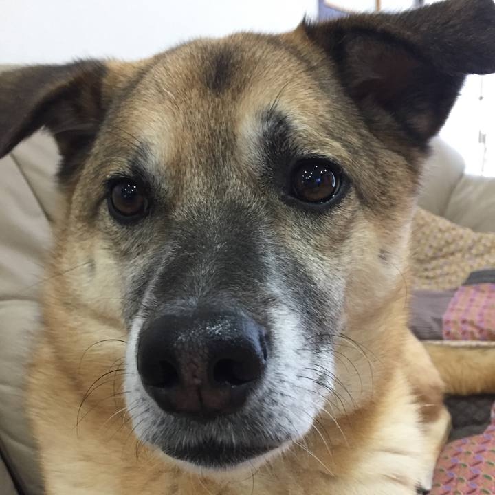 Ae70a67f 1fac 437f ad54 9c33b0662f36