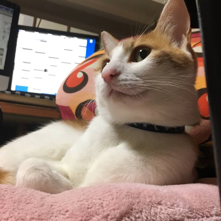 Ae7145a3 51d6 4408 b1e1 7f5cbadf1ed8