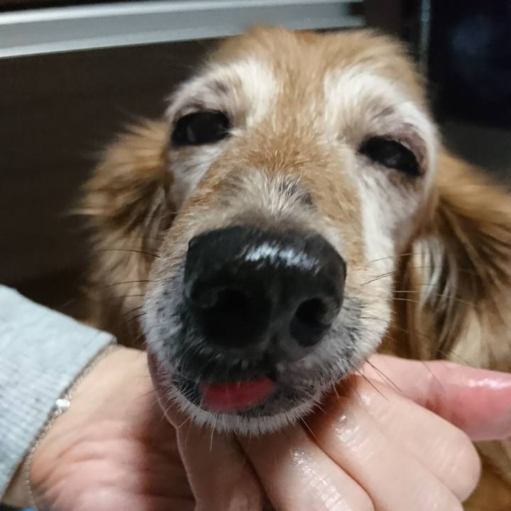 Ae719161 8933 4cb4 8992 47f304876dd8