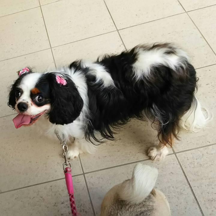 Ae7195f1 f68e 497b b6d2 d16304c81c9a