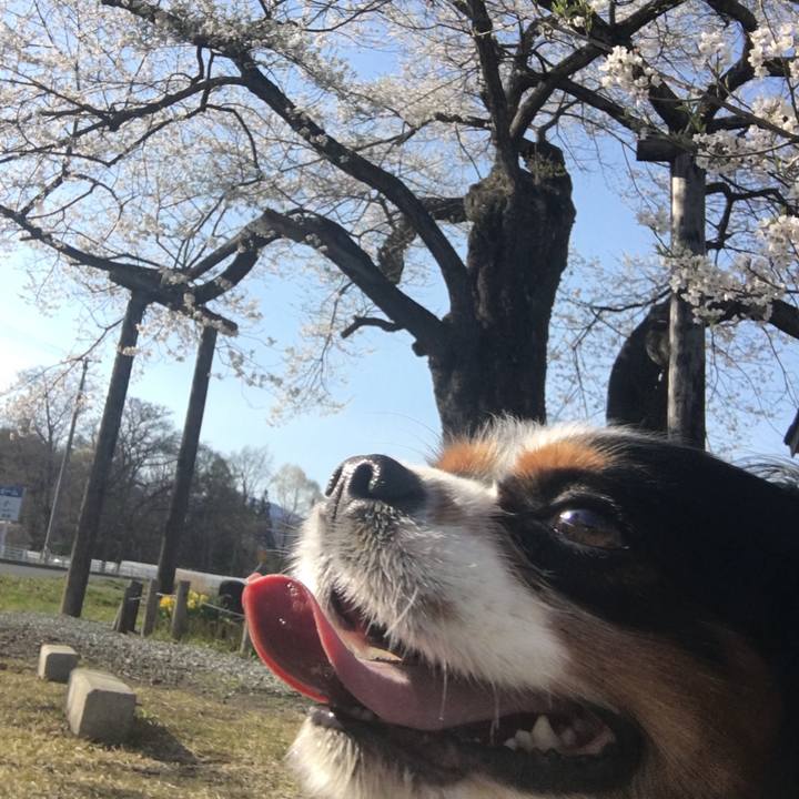 Ae71fdc5 9a64 4abf 96a4 ac9b75db0255