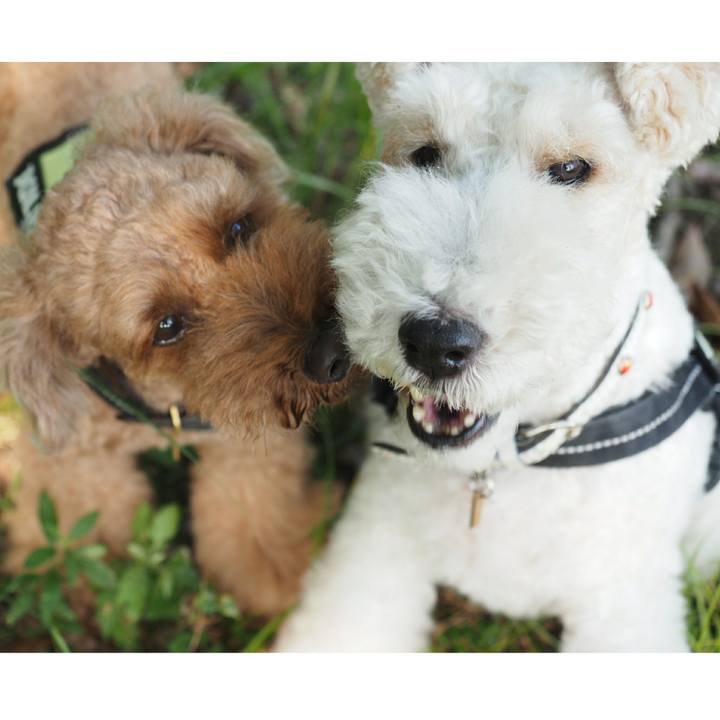 Ae726094 e764 4fb6 bac4 1754f28f6ed3