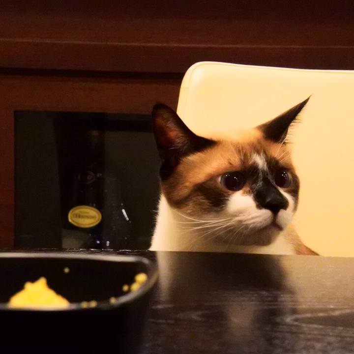 Ae72ee85 1380 462d 9ead 9f0714642597