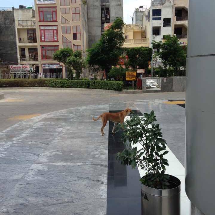 Ae730cb0 12ca 4ff9 88c9 b05bf2d774ee