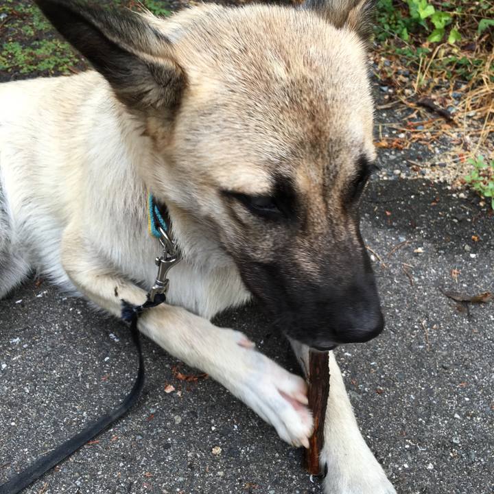 Ae73380e 9228 4611 b151 0497a0eabbf9