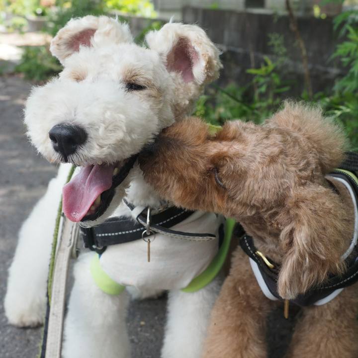 Ae733c77 a25a 4654 be65 a6dd1e41c852