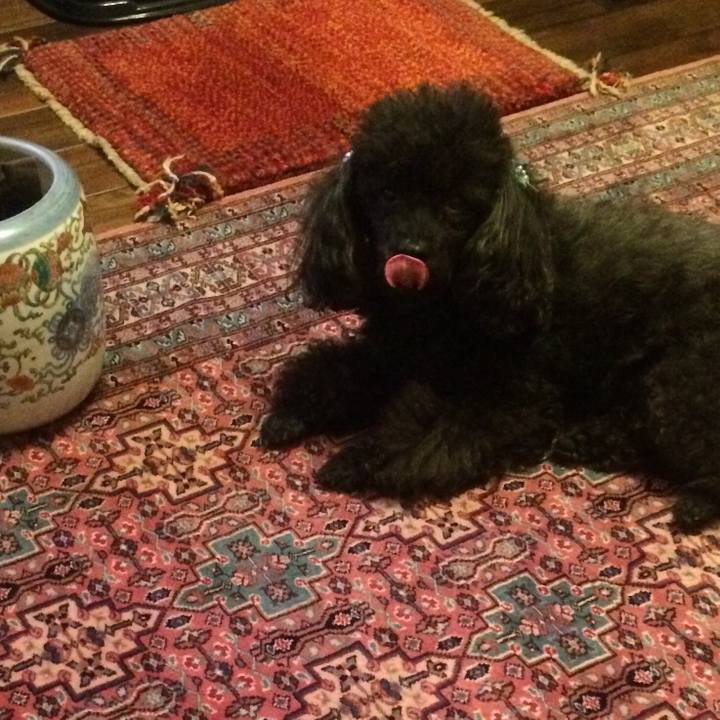 Ae734586 3fda 42bb a44a 3c7f4b287b2b