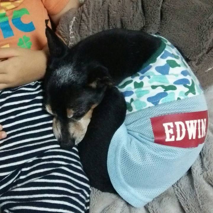 Ae73b16b 0d0b 4102 9fff f02b6be67a90