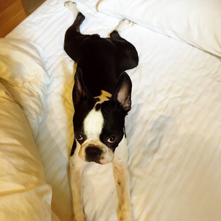 Ae73d4a1 2829 4dd7 a19d 6ea69ab2e11f