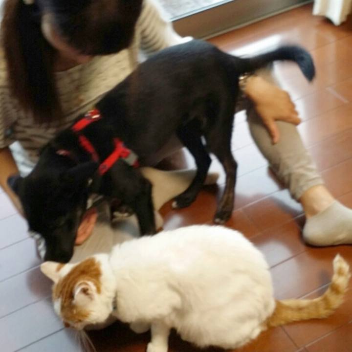 Ae741ca8 a3c0 4e35 b815 1cf49b62ab32