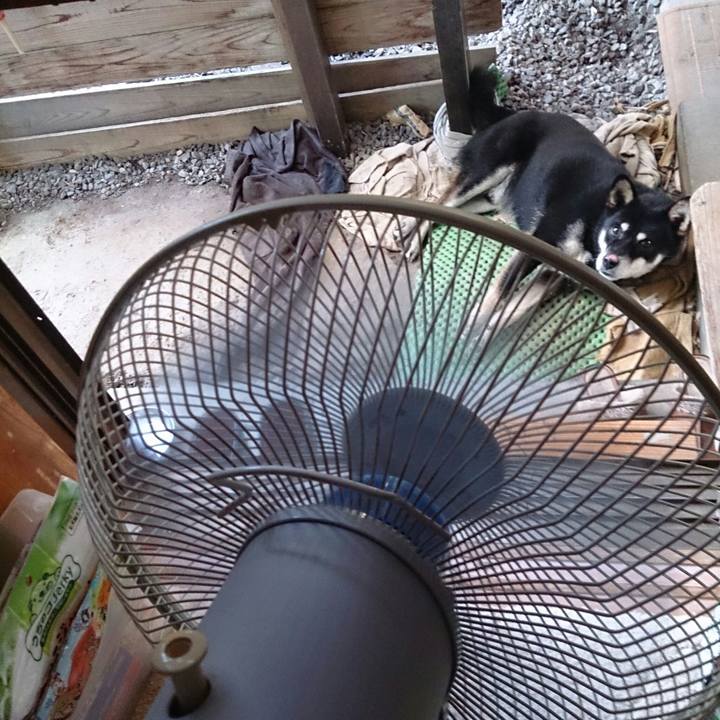 Ae743d3c 96ed 4fa5 876d 615c4475c600