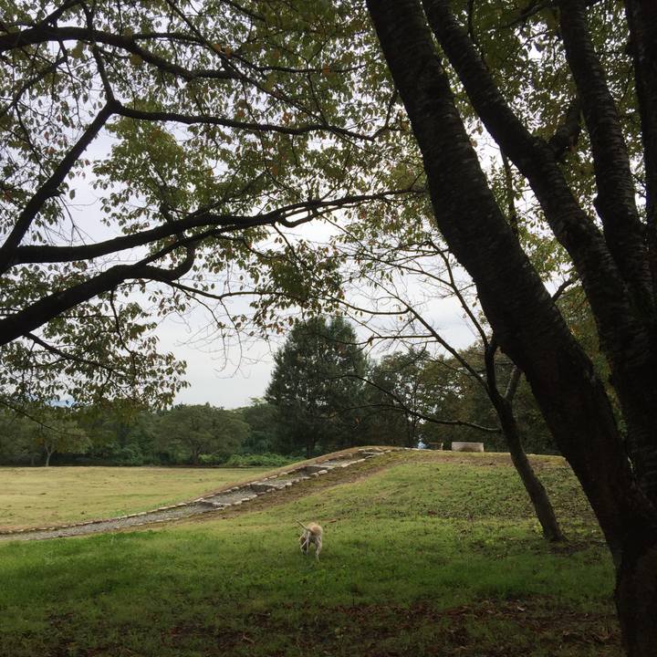 Ae74a8c2 0fd2 427d a28c 32813e00d92b