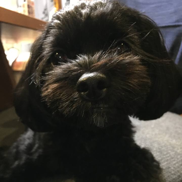 Ae756b85 526c 492d 8a07 8acf3caba76f