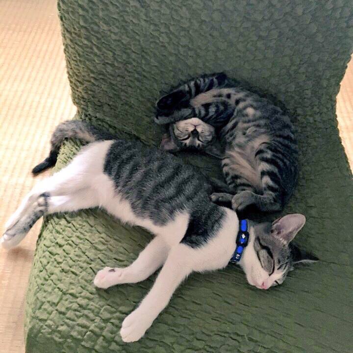 Ae756d77 df55 4b96 ba6c b394ae805632