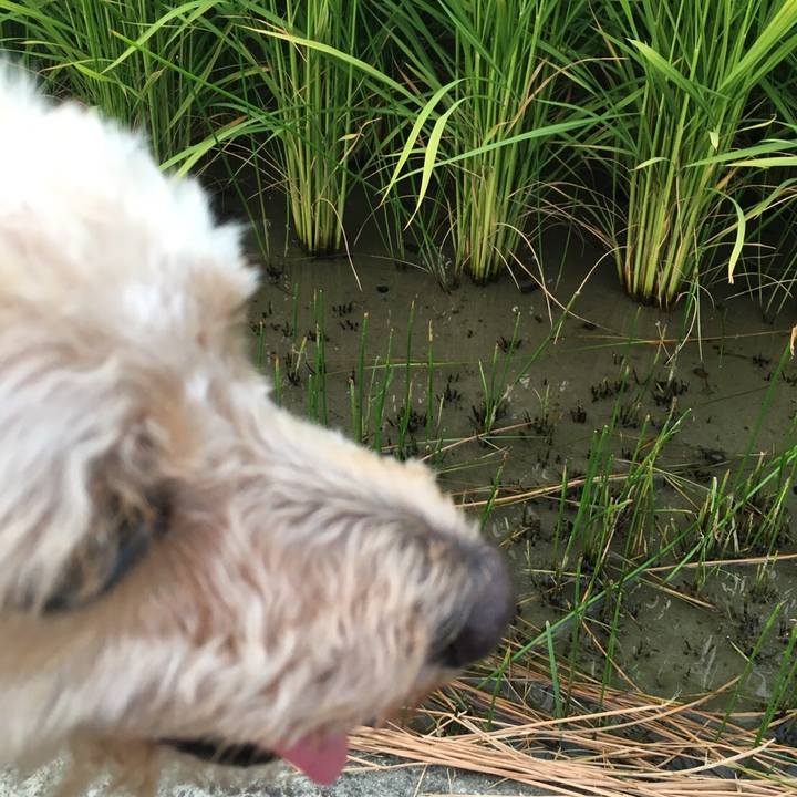 Ae75744a 6028 464b b818 624a865170b3