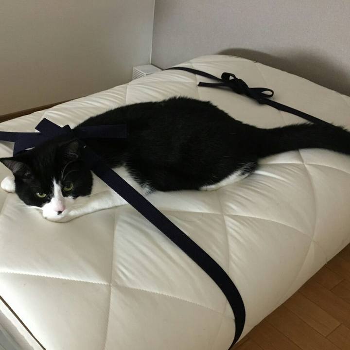 Ae759e1e c57d 49b9 9199 b64ed3b792c6