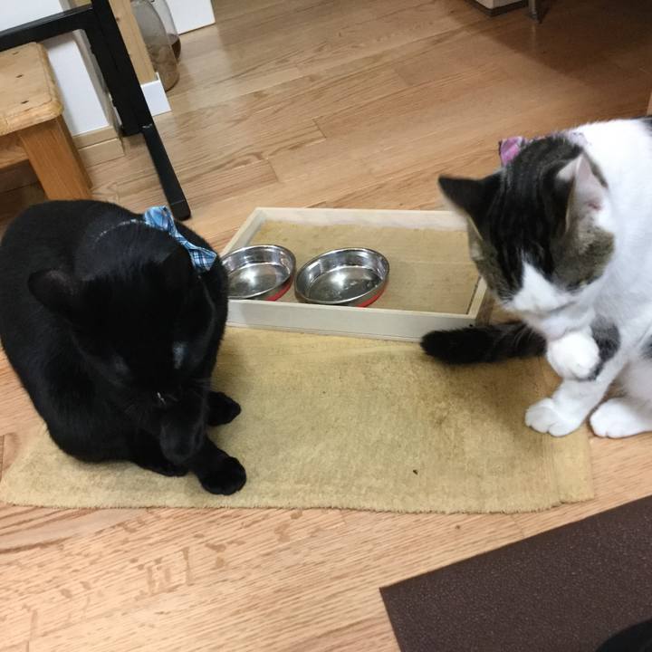 Ae763976 dbf6 4b4f 84e5 da6340512c7d