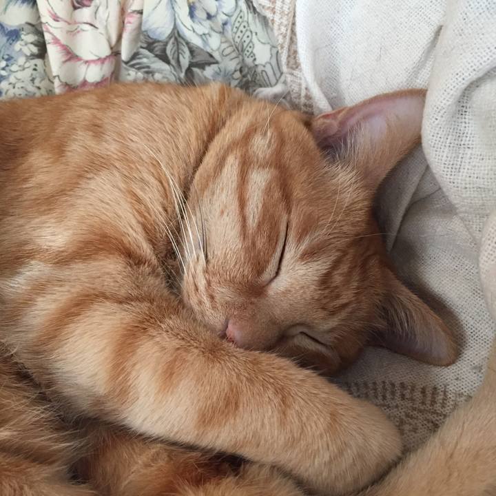 Ae768551 d1ed 4b16 a34a a99fec5ede1f