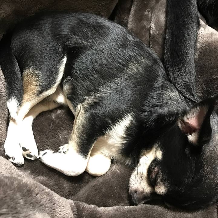 Ae76967e 22a8 4924 a0f7 8ee2209f86d1