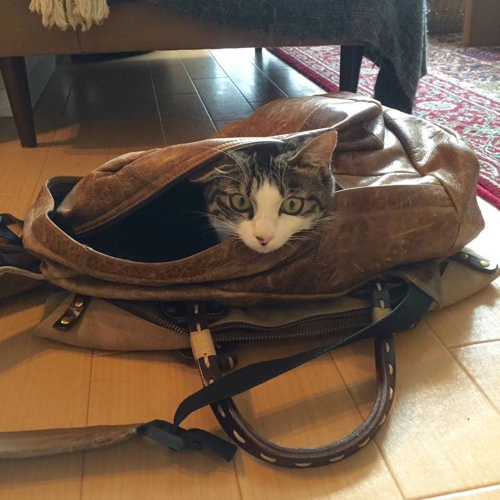 Ae77177a e651 44b2 85f9 b4686ad0623f