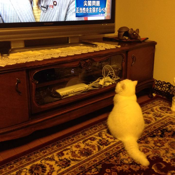 Ae771d0a 9a12 4dfb b8b6 b5a8937b3122