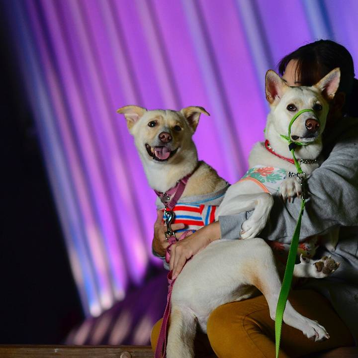 Ae7752e3 29fb 485b 9b66 b38fb03728bd