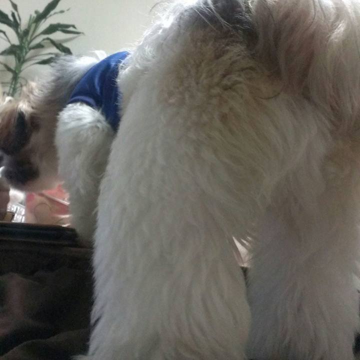 Ae7754c7 3199 4673 bf87 0e912494a031