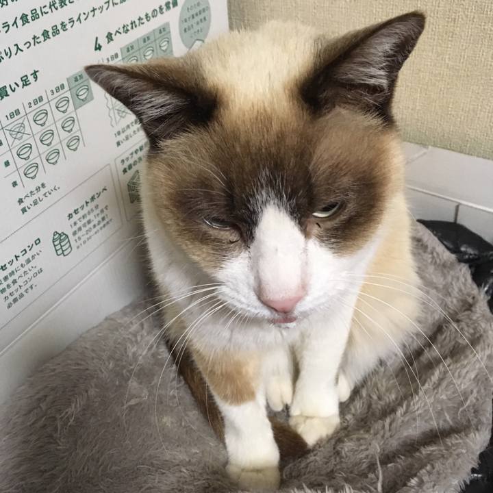 Ae7754f9 9670 422f bd0d 0b252c793b64