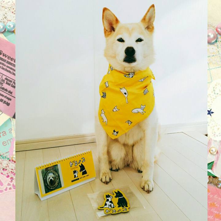 Ae777d7b 73bf 4994 bf82 4684c53a9b05