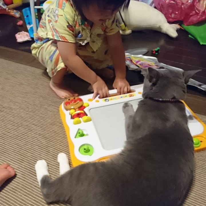 Ae783767 f7e0 43d3 b2a7 7846414ff0df