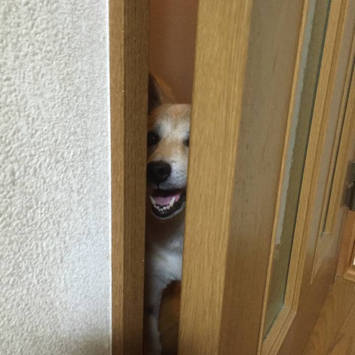 Ae784a02 3115 455b 96fa d1dfb99273e1