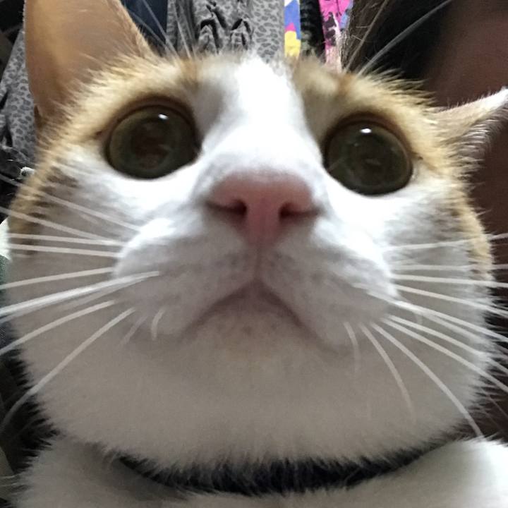 Ae7876cc f40d 47ac 8d96 9cff25552a5b