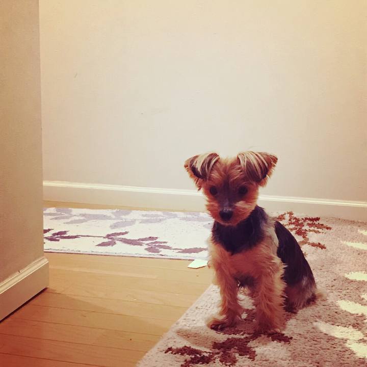 Ae798517 a2b6 4192 8dff 5daccc2b5ff0