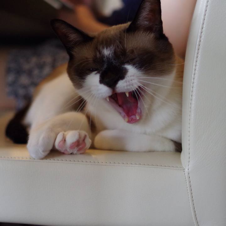 Ae79d77e 1042 44b6 a603 00e5d6266dcf