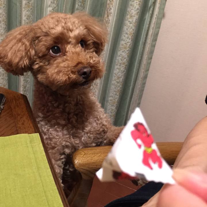 Ae7a0341 4f94 4e8d bdac 099a15d349d1