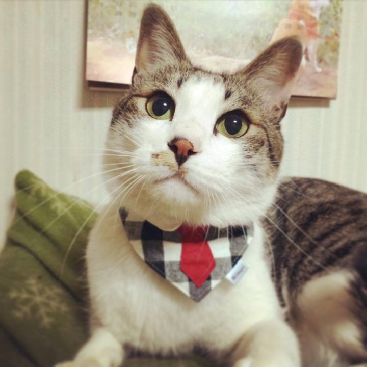 Ae7af280 49c0 4e28 886f 1cdde1129653