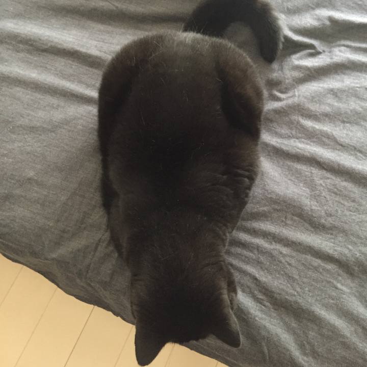 Ae7af763 9fc4 48d7 9033 5e81680818cb