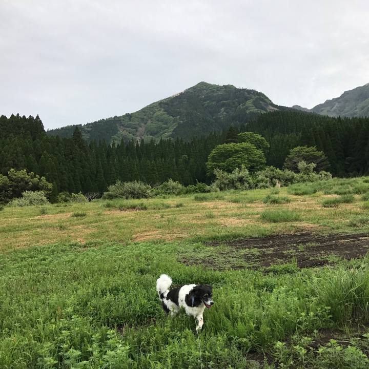 Ae7b13cb ec25 4e62 959c a5a2c5fc81f5